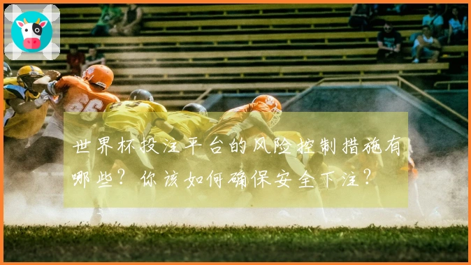 世界杯投注平台的风险控制措施有哪些?你该如何确保安全下注?